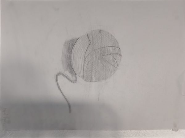 IMG_20251125_162855 IMG_20251125_162855