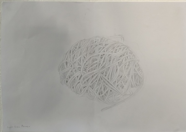 IMG_20251125_162906 IMG_20251125_162906