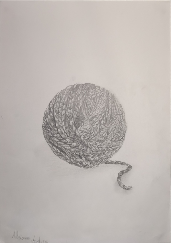 IMG_20251125_162928 IMG_20251125_162928