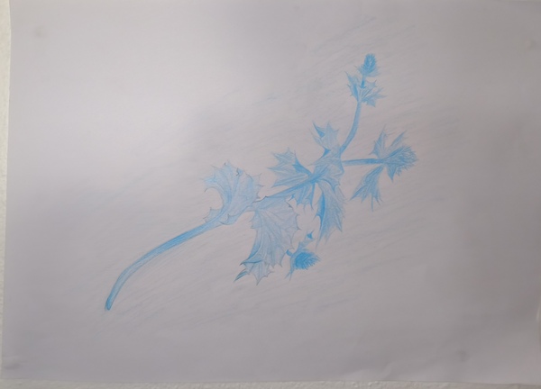 IMG_20251125_163043 IMG_20251125_163043