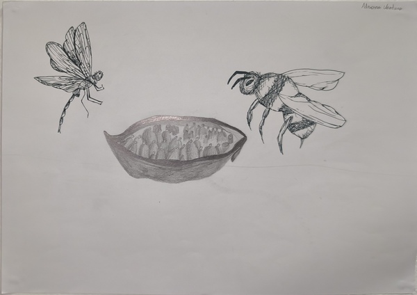 IMG_20251125_163136 IMG_20251125_163136