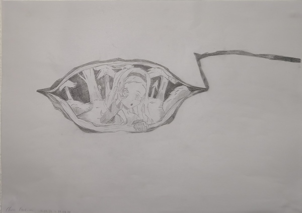 IMG_20251125_163149 IMG_20251125_163149