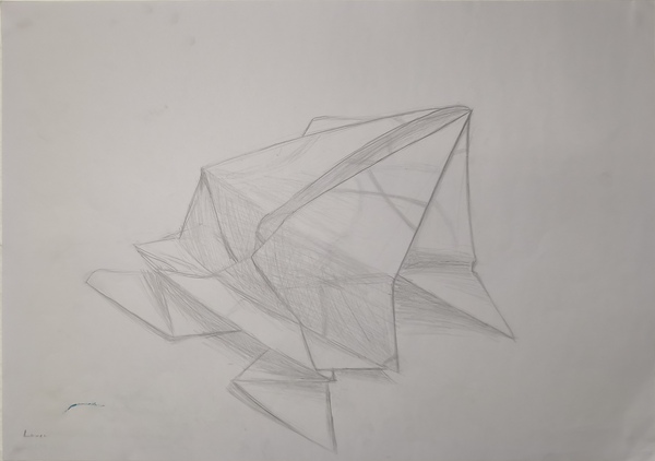 IMG_20251125_163157 IMG_20251125_163157